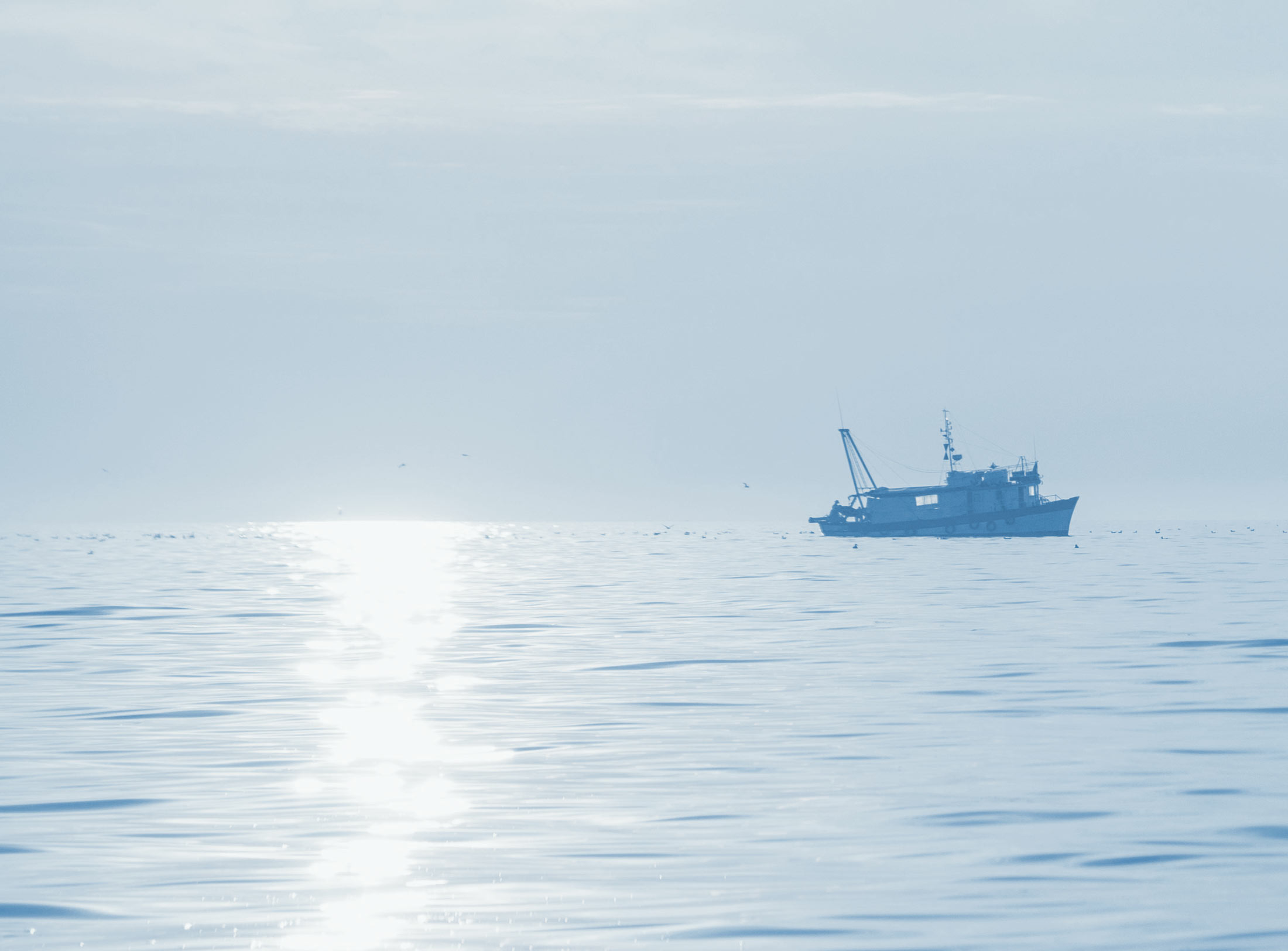Screenshot of Pacific Ocean Marine Insurance Brokers, Inc. | Commercial Boat ...
